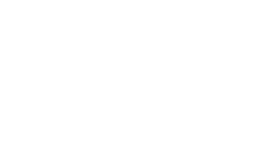 Newton International School